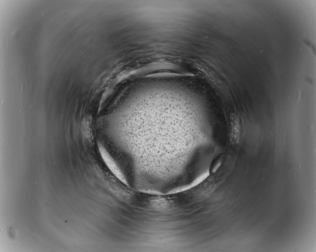 X0000102780616200809021054