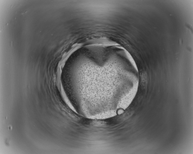 X0000102780617200809021054