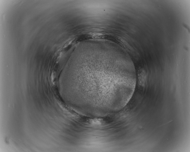 X0000102780618200809021054