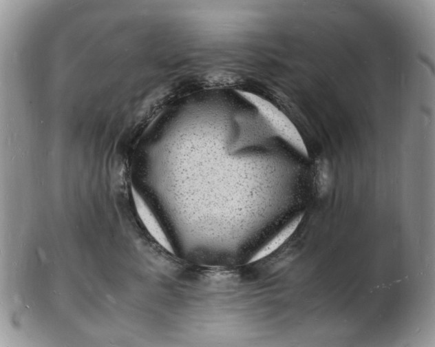 X0000102780619200809021054