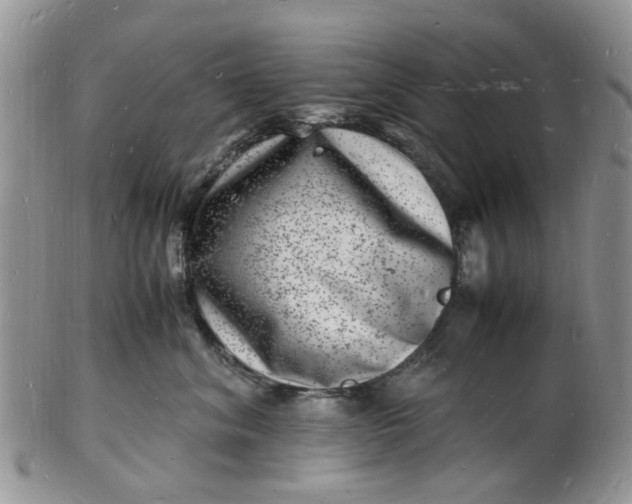 X0000102780620200809021054