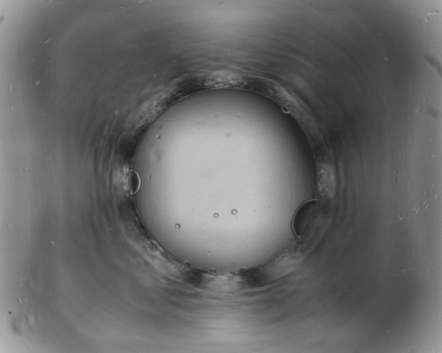 X0000102780621200809021054