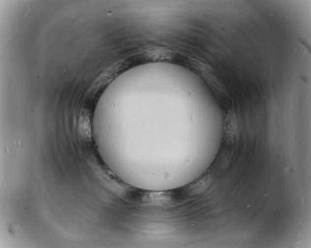 X0000102780622200809021054