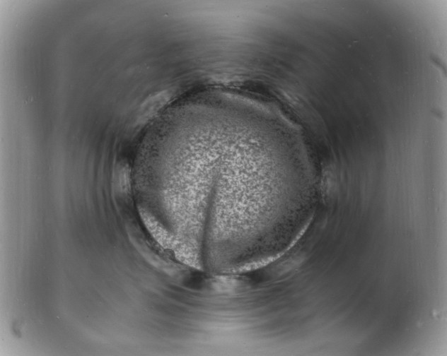 X0000102780623200809021054