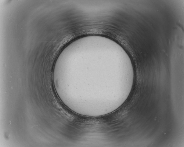 X0000102780625200809021053