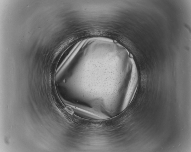 X0000102780626200809021053