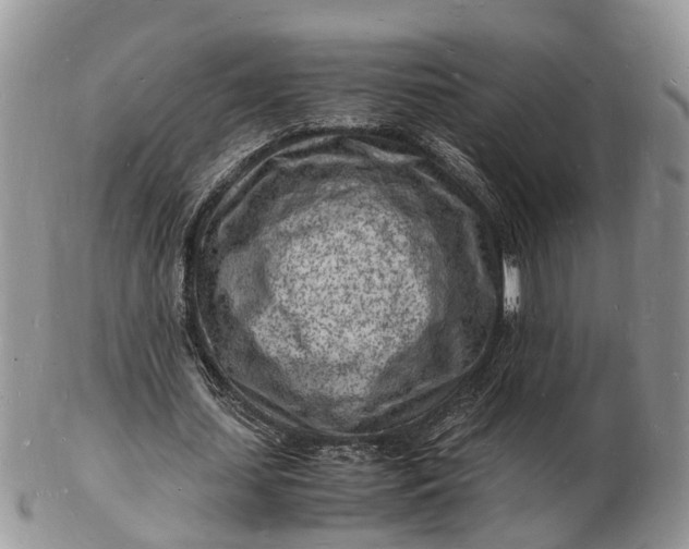 X0000102780627200809021053