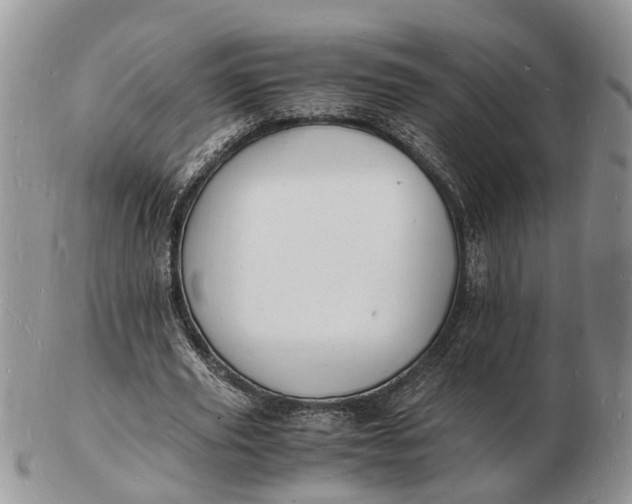 X0000102780629200809021053