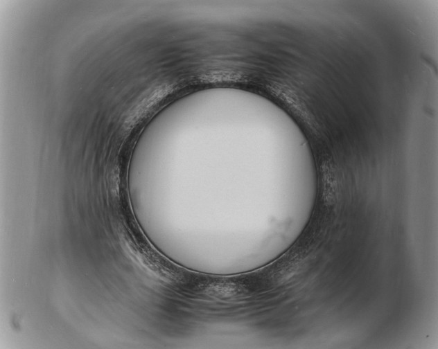 X0000102780631200809021053