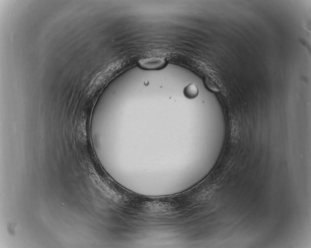 X0000102780633200809021053