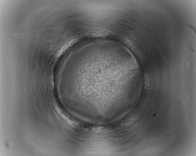 X0000102780634200809021053