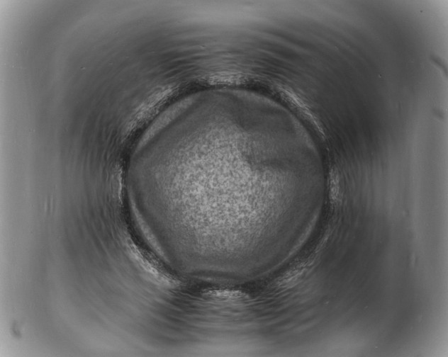 X0000102780637200809021053