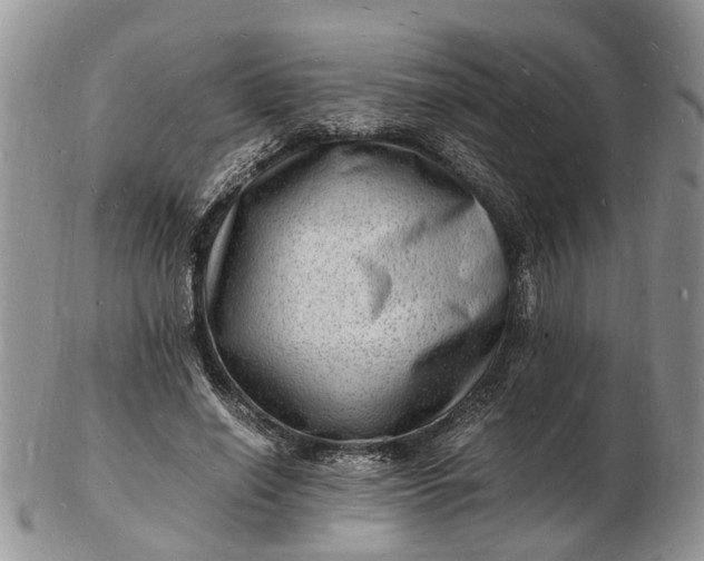 X0000102780638200809021053