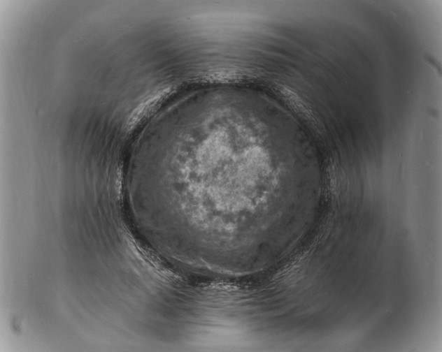 X0000102780640200809021053