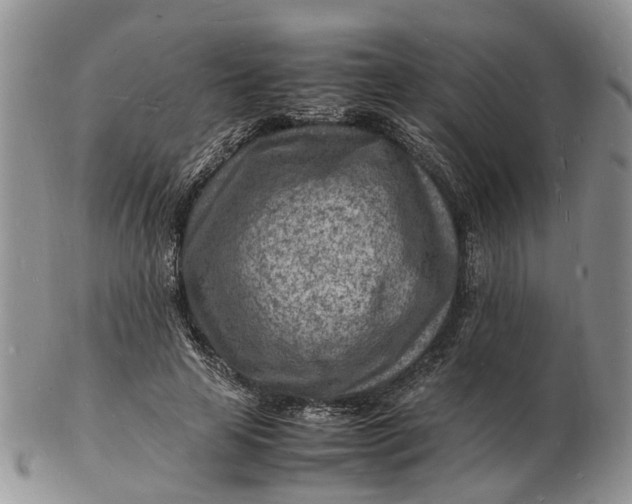 X0000102780641200809021053