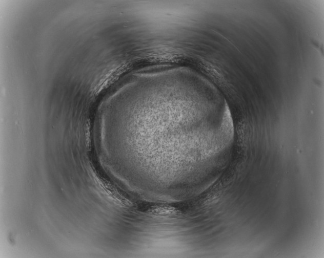 X0000102780642200809021053