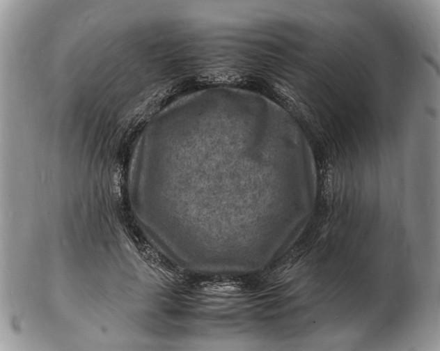 X0000102780643200809021053