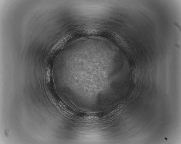 X0000102780644200809021053