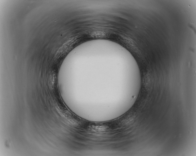 X0000102780645200809021053