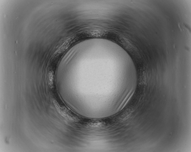 X0000102780646200809021053