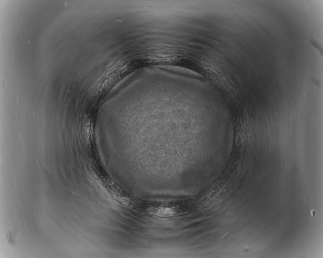 X0000102780647200809021053