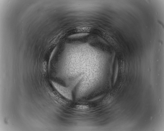 X0000102780649200809021053