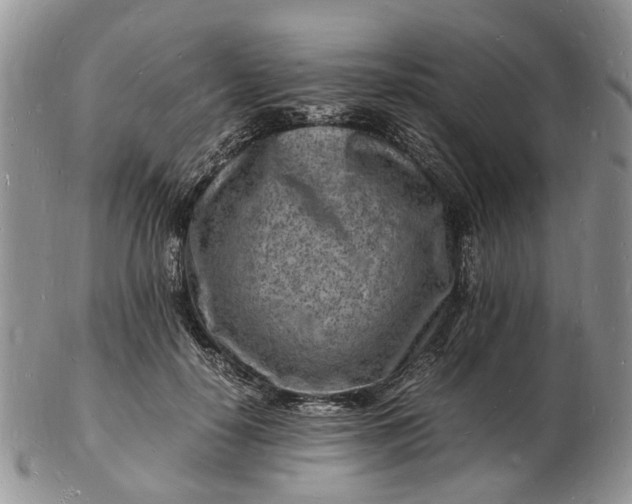 X0000102780650200809021053