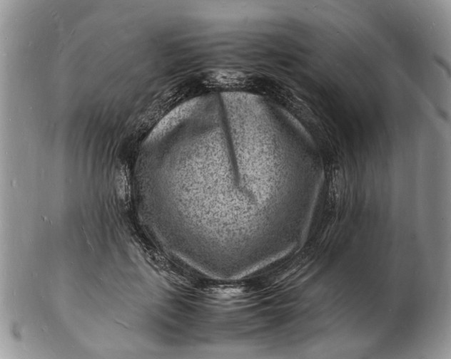 X0000102780651200809021053