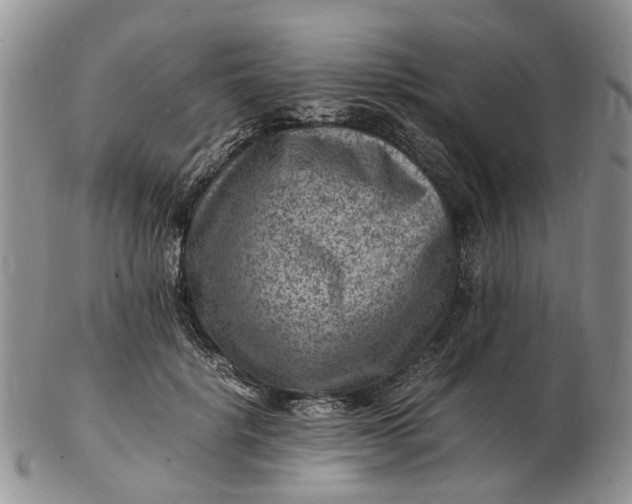 X0000102780652200809021053