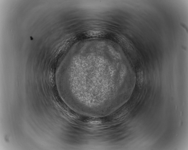 X0000102780653200809021053