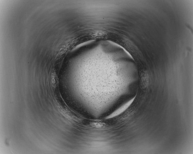 X0000102780654200809021053