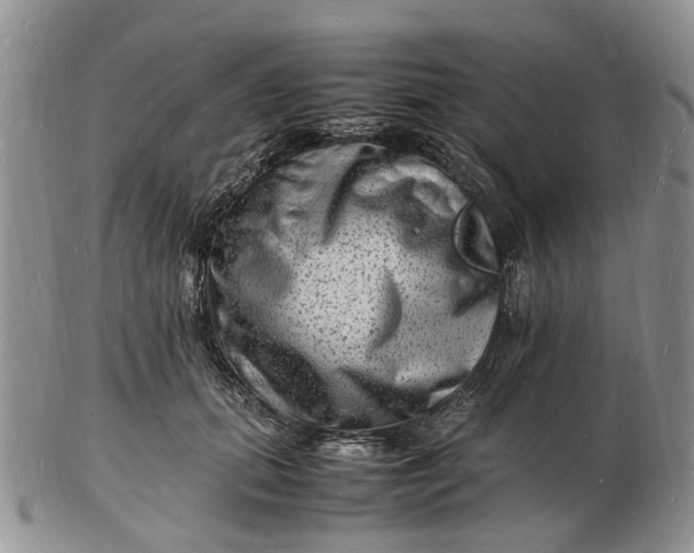 X0000102780655200809021053