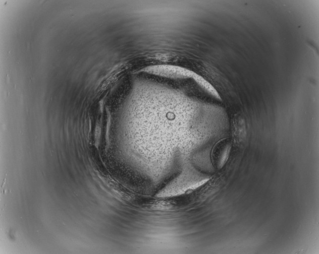 X0000102780656200809021053