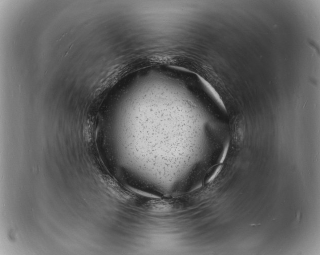 X0000102780658200809021053