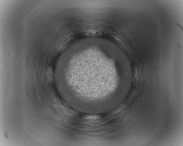 X0000102780659200809021053