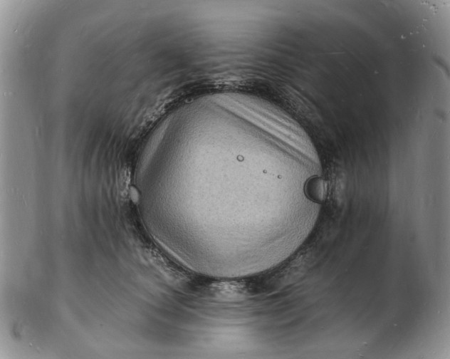 X0000102780660200809021053