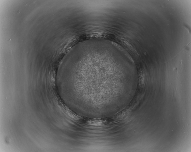 X0000102780661200809021053