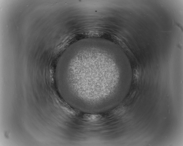 X0000102780663200809021053