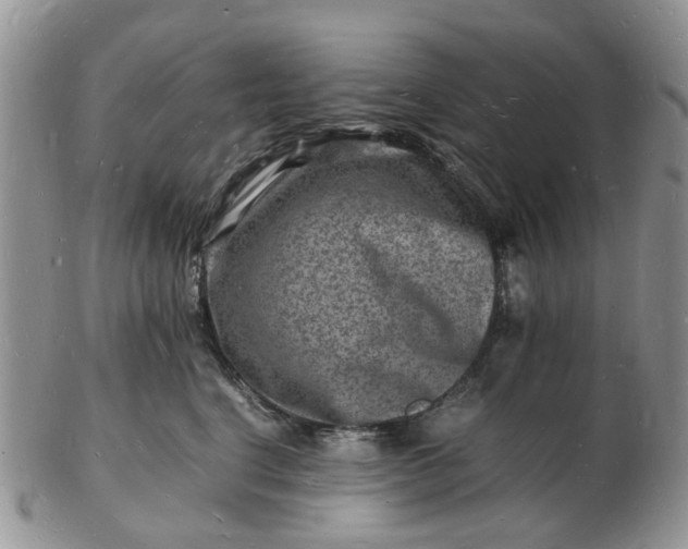 X0000102780664200809021053