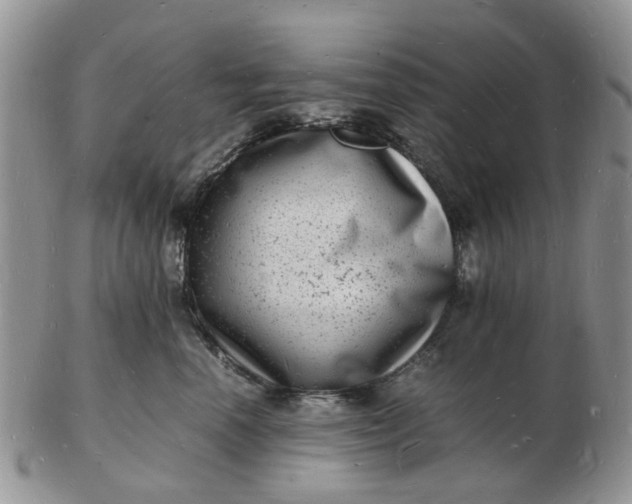 X0000102780666200809021053