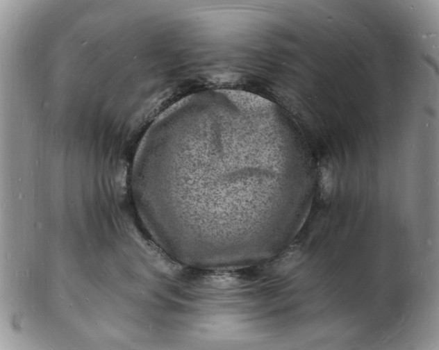 X0000102780668200809021053