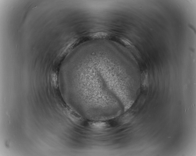 X0000102780669200809021053