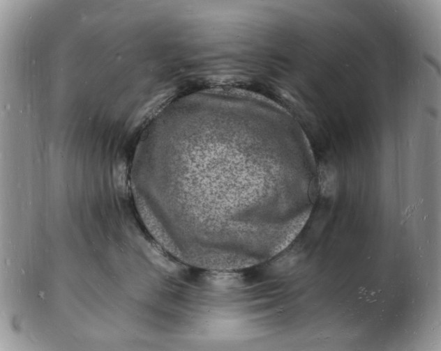 X0000102780670200809021054