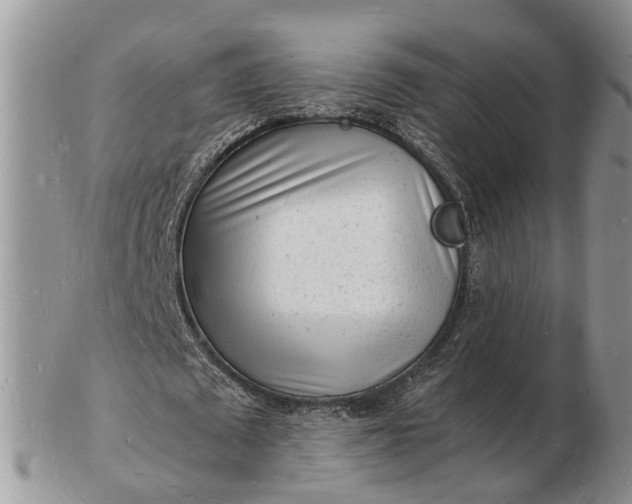 X0000102780673200809021053