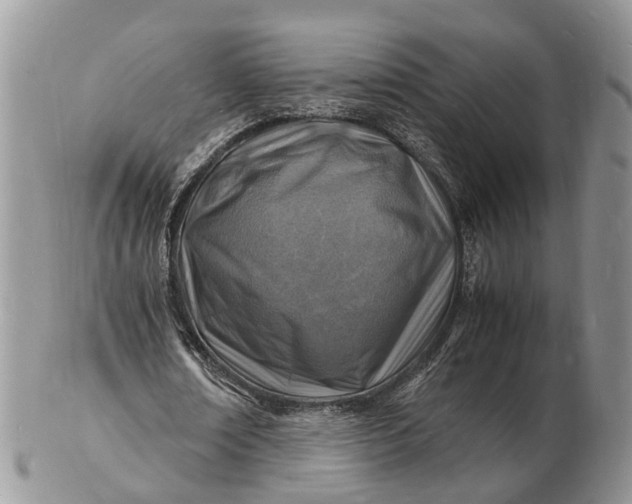 X0000102780674200809021053