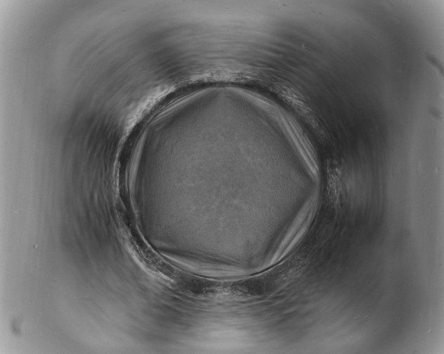 X0000102780678200809021053