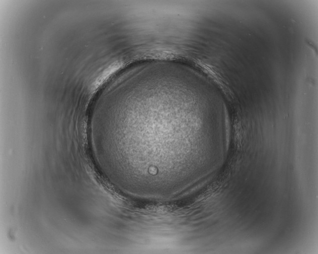 X0000102780679200809021053