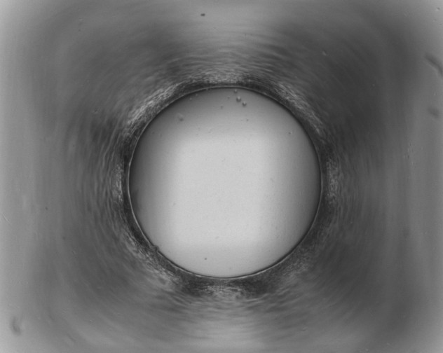 X0000102780681200809021053