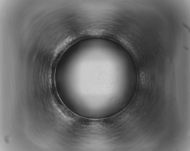 X0000102780682200809021053