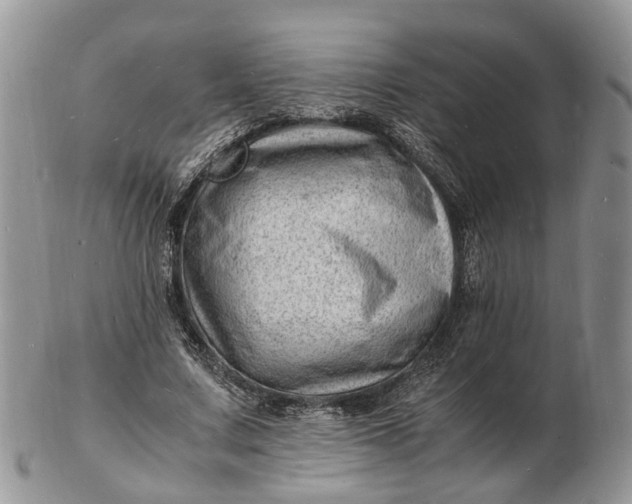 X0000102780683200809021053